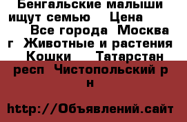 Бенгальские малыши ищут семью) › Цена ­ 5 500 - Все города, Москва г. Животные и растения » Кошки   . Татарстан респ.,Чистопольский р-н